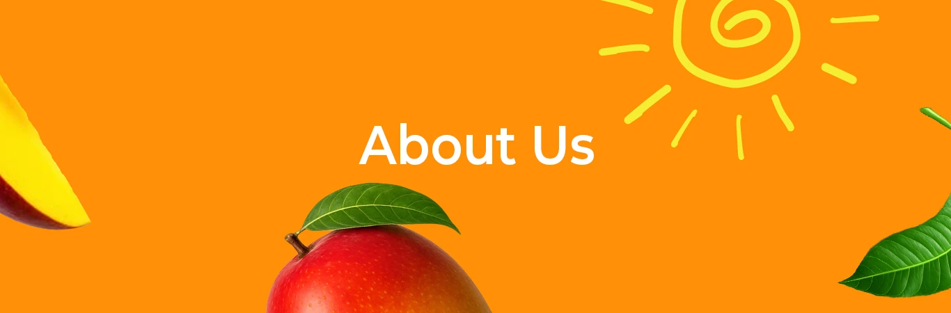 About Banner Laptop